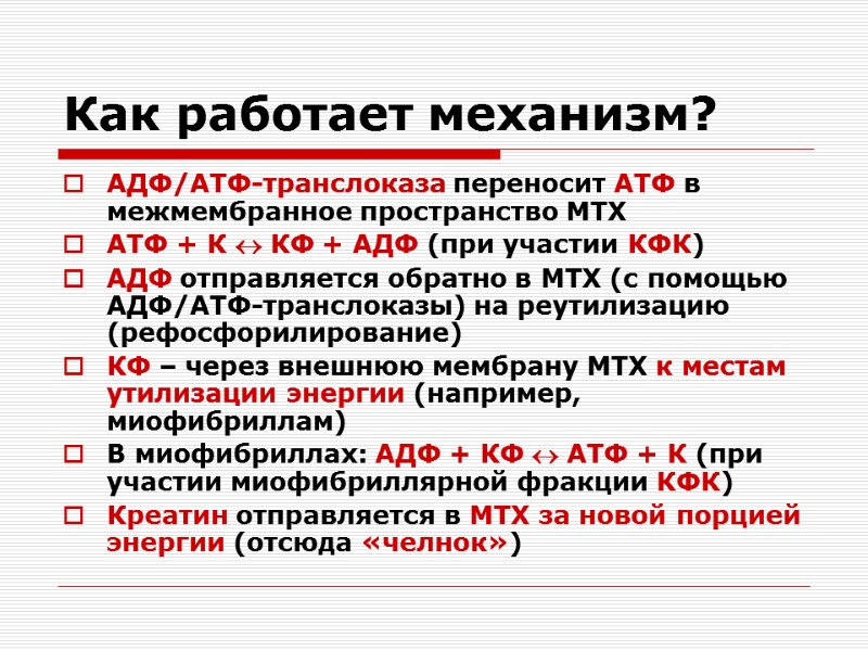 Как работает механизм? АДФ/АТФ-транслоказа переносит АТФ в межмембранное пространство МТХ АТФ + К 